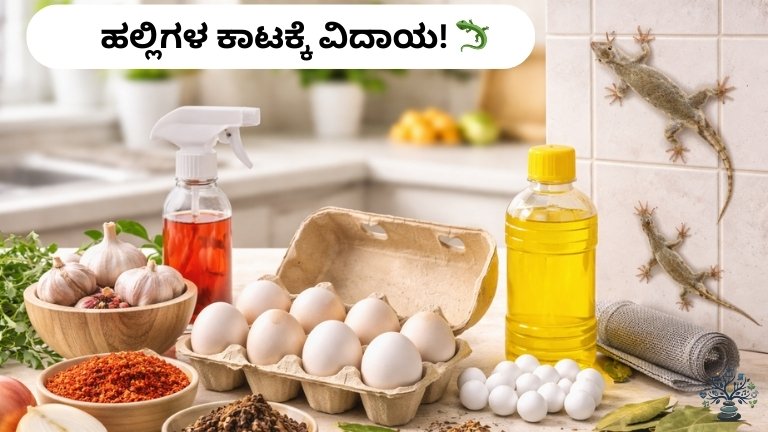 itchen-tips-lizard-bite-at-home ಹಲ್ಲಿಗಳ ಕಾಟಕ್ಕೆ ವಿದಾಯ! 🦎✨